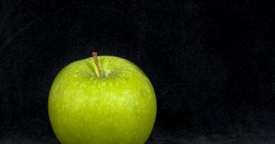 Vejen fra frø til frugt: Æbletræer