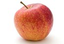 Opdag de seneste æbletrætrends